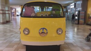 教習車にはSUVやミニバンもOK？教習所のトリビア